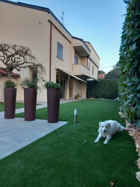Property building, Pets, Garden view