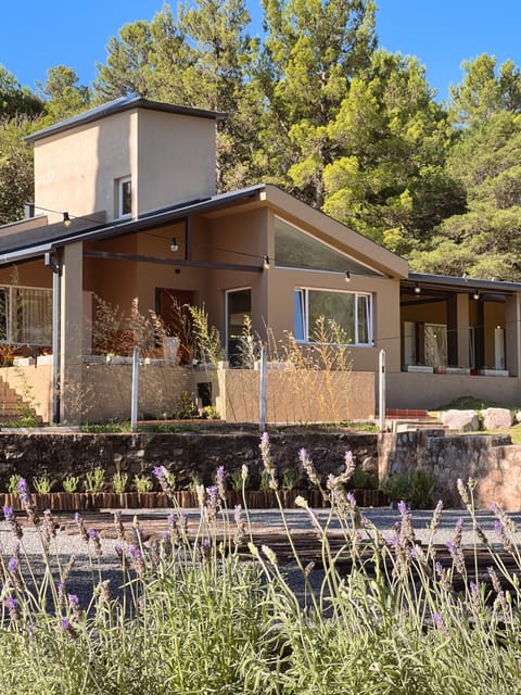 Property building, Garden view