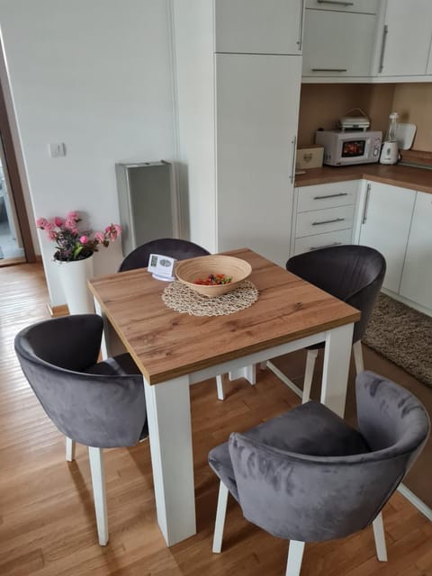 Apartman Tina Apartment in Serbia