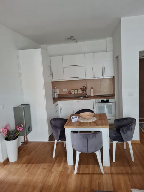 Apartman Tina Apartment in Serbia