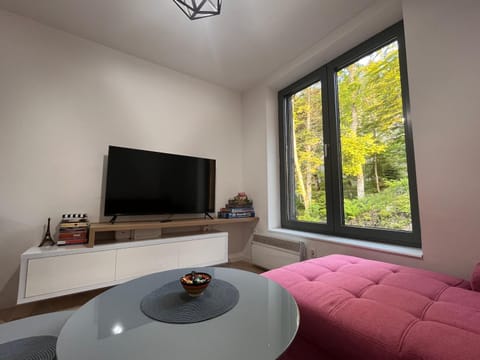 Communal lounge/ TV room, TV and multimedia, Seating area