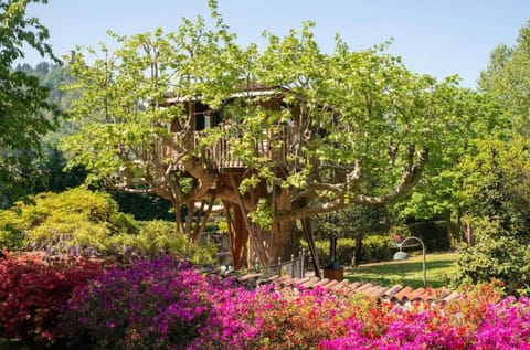 Property building, Natural landscape, Garden