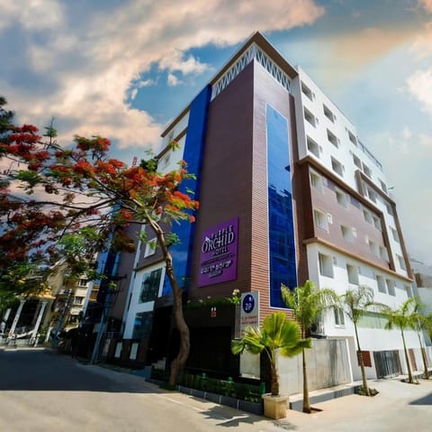 Property building, Day, City view