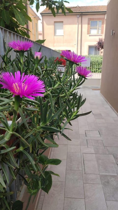 Darsena b&b tra arte e mare Apartment in Ravenna