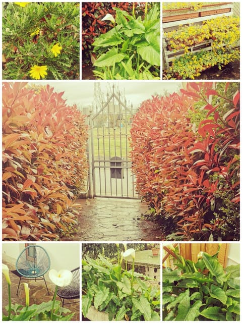 LE 7 CALLE Apartment in Pisa