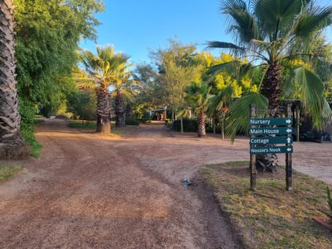 Garden, Garden view, Street view