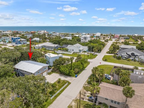 Beachside Cabana Walk to Beach Dog Friendly House in Vilano Beach