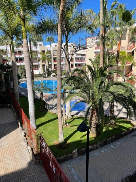 Garden view, Pool view, Swimming pool, sunbed