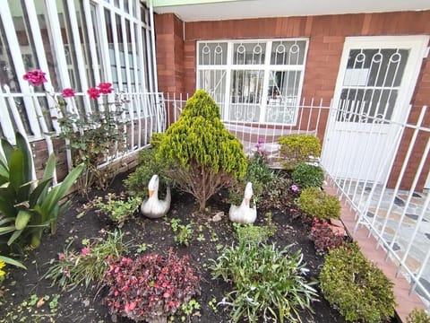 Property building, Garden, Garden view