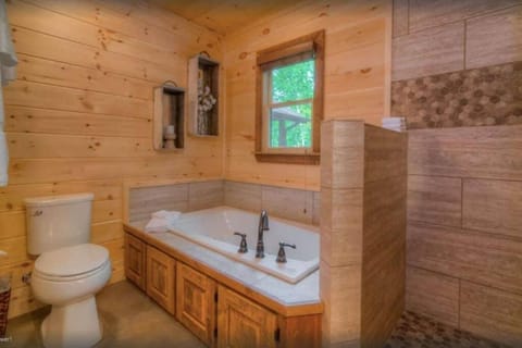 Sky High Lodge - Blue Ridge House in Blue Ridge Lake