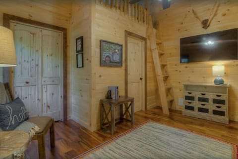 Sky High Lodge - Blue Ridge House in Blue Ridge Lake