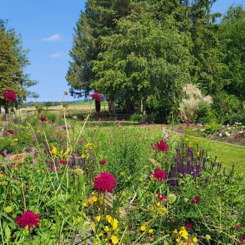 Natural landscape, Garden, Garden view