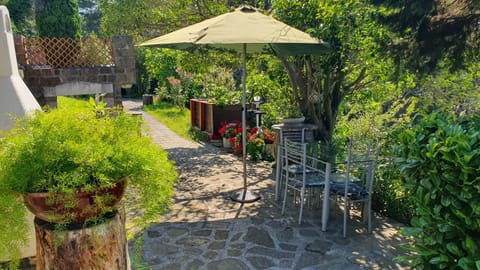 Day, Garden, Garden view