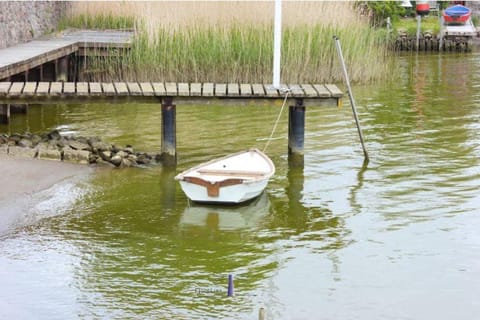 Hausboot Fjord Aries mit Dachterrasse in Schleswig Docked boat in Schleswig
