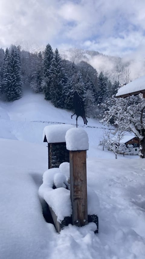 Bergmomente Montafon Ferienhaus Bitschweil House in Vorarlberg, Austria
