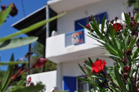 Milisia Rooms Apartment hotel in Evros, Greece