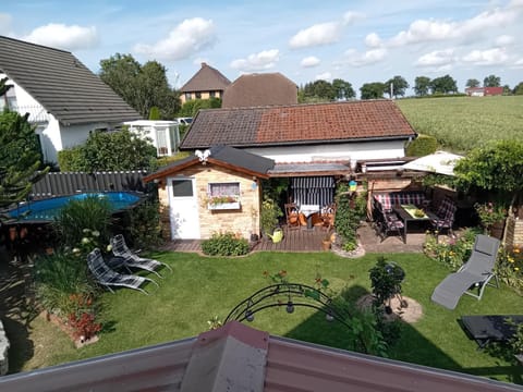 Garden, Garden, Garden view, Swimming pool, sunbed