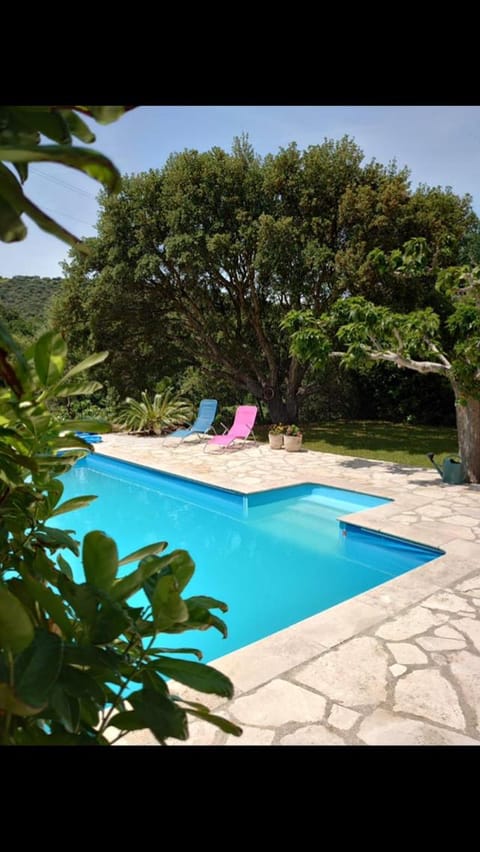 Garden, Swimming pool