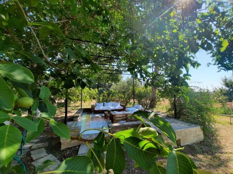 Patio, Garden