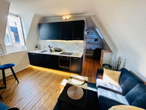 Appart Rouen Jardin des plantes Apartment in Rouen