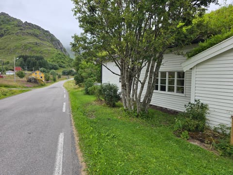 Day, Neighbourhood, Natural landscape, Street view