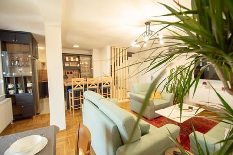 Spacious, central and luxury flat with great view! Apartment in Novi Sad