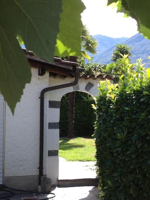 Garden view