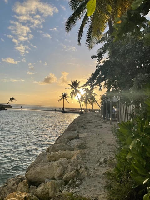 Beach, Sea view, Sunset
