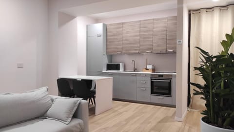 Kitchen or kitchenette, kitchen