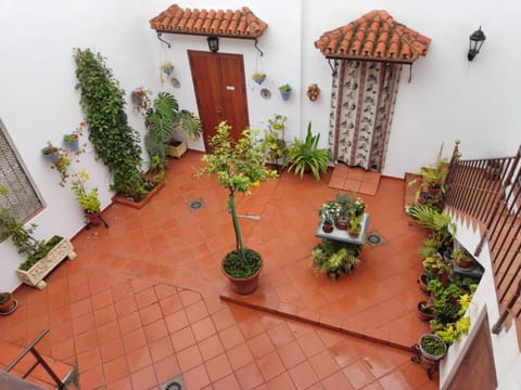 Patio, Garden view