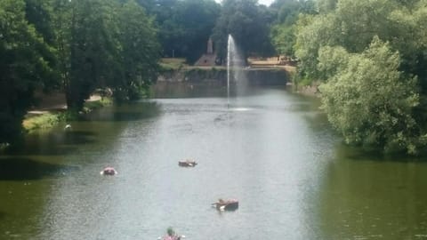 Natural landscape, Lake view
