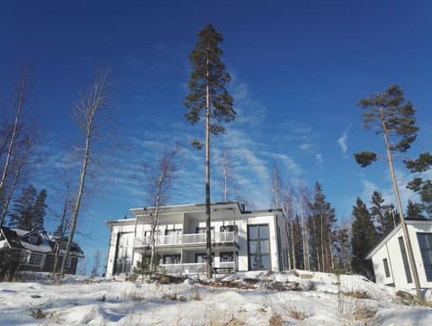 MUURAME RIIHIVUORI PARITALOHUONEISTO SKI Apartment in Finland