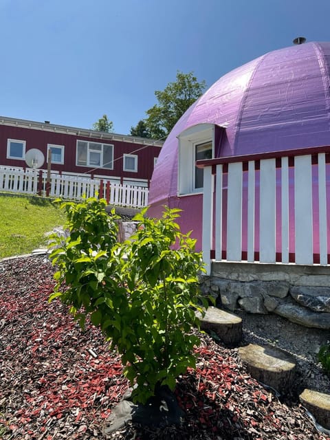 Property building, Spring, Day, Garden, Garden view