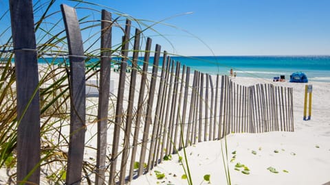 2 Gulf View Balconies! 3 Story Townhome With 4 Bedrooms, 4 Bathrooms! Sleeps12 House in Sunnyside