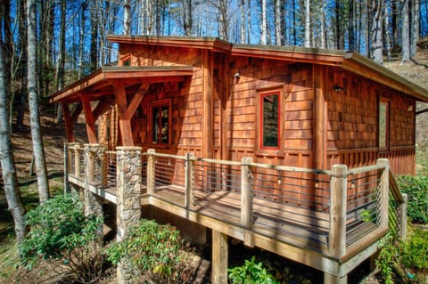 Doe Run Cottage at Eagles Nest House in Watauga