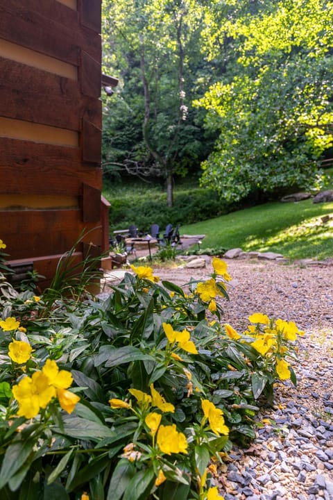 MountainTime House in Brushy Fork