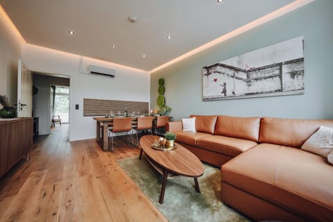 Living room, Seating area, air conditioner