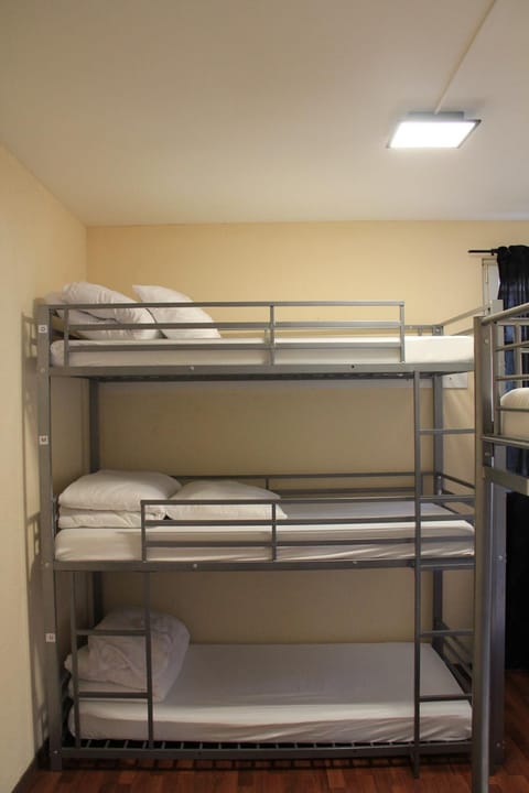 Bed, Photo of the whole room, Bedroom, bunk bed