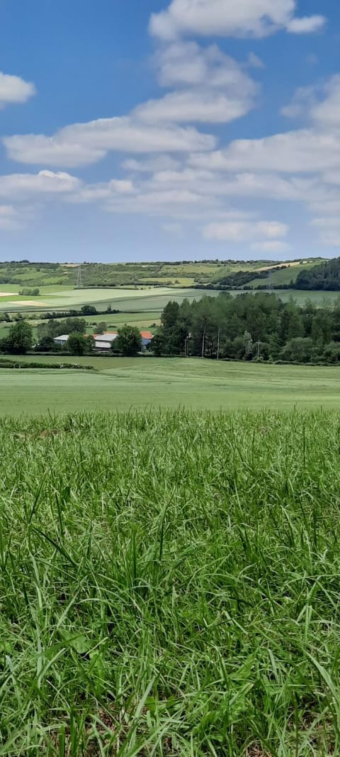 Natural landscape