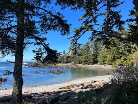 Suite and Simple Bed and Breakfast in Ucluelet