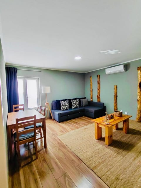 Living room, Dining area, air conditioner