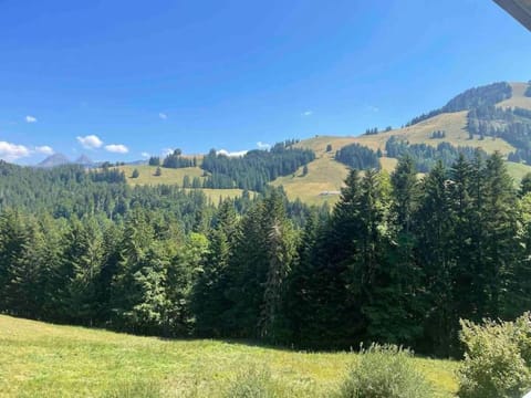 Superbe appartement 3.5 avec cheminée Apartment in Fribourg, Switzerland