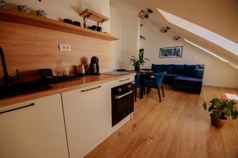 Loft apart Pluzine Apartment in Montenegro