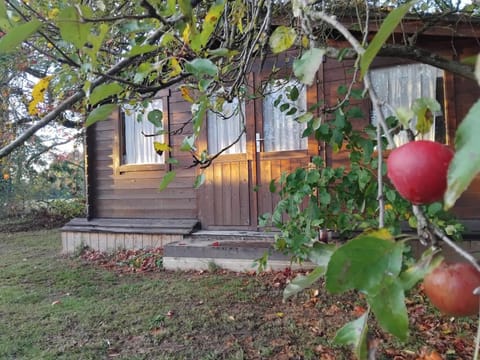 Property building, View (from property/room)