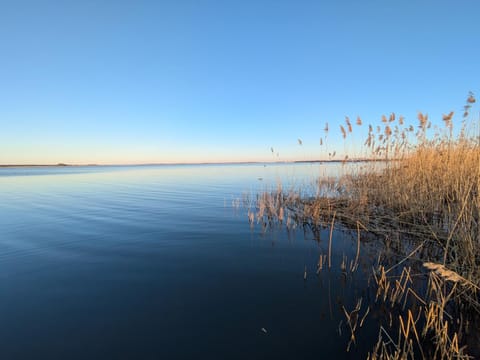 Robson Beach I Sauna, Jacuzzi Villa in West Pomeranian Voivodeship, Poland