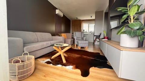 Kitchen or kitchenette, Living room, Seating area, Dining area, air conditioner