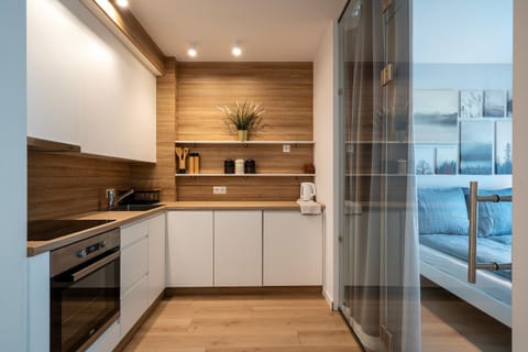 Kitchen or kitchenette, oven, stove