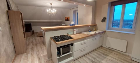 Kitchen or kitchenette, minibar, stove