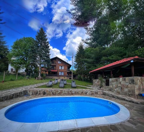 Natural landscape, Garden, Garden view, Pool view, Swimming pool, sunbed