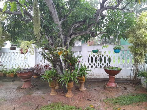Garden, Garden view